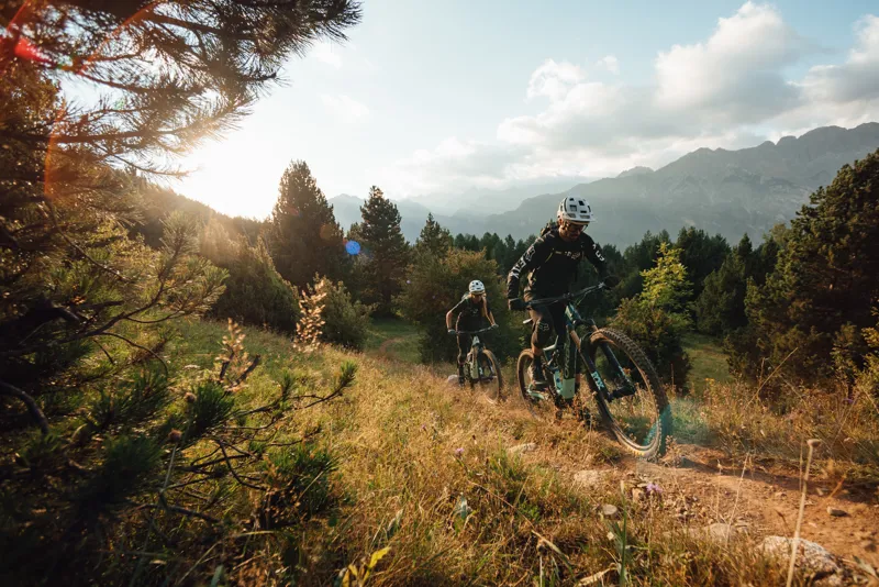 Orbea Rise M-LTD 29er Mountain Bike 2022 Coal Blue/Red Gold-4